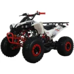 X-Pro 125cc ATV with Reverse, Electric Start, Luggage Rack & LED Headlight - Image 2