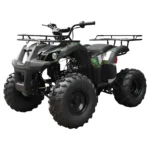 Tao T-Force T125 Mid-Size ATV - Image 2